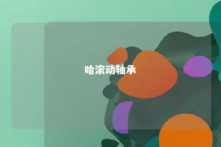 哈滚动轴承 